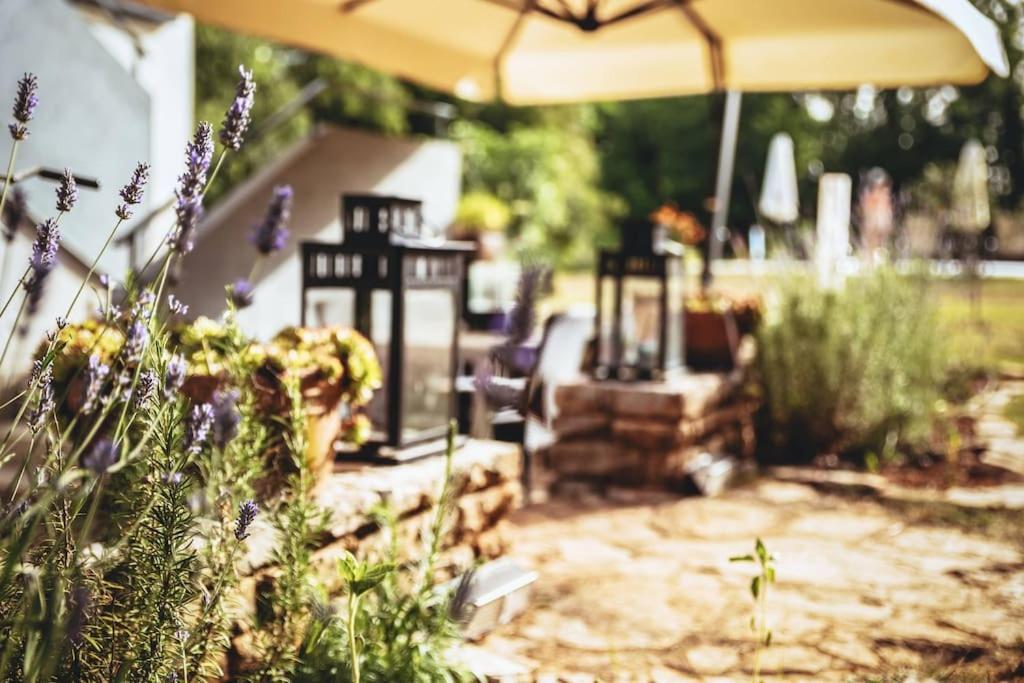 Pićan Luxury Villa Cetiri Hrasta מראה חיצוני תמונה