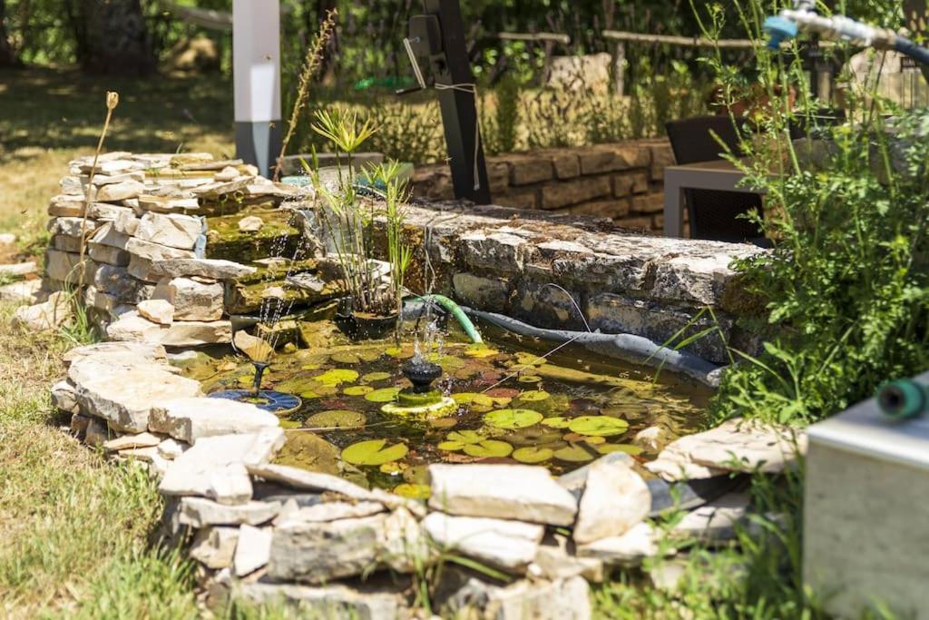 Pićan Luxury Villa Cetiri Hrasta מראה חיצוני תמונה