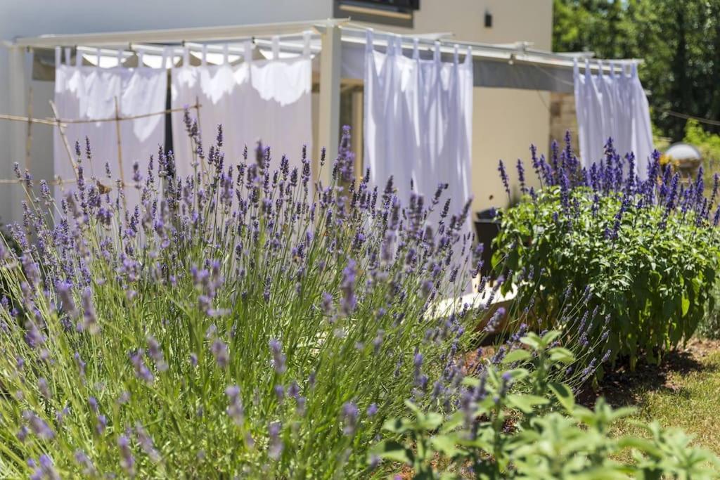 Pićan Luxury Villa Cetiri Hrasta מראה חיצוני תמונה