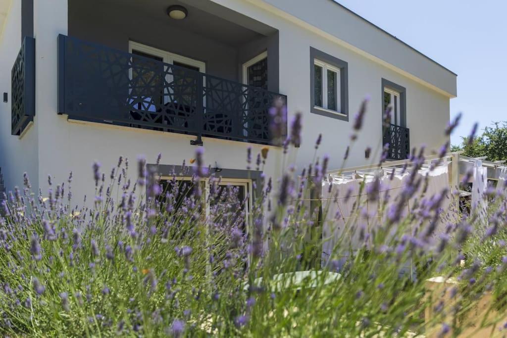 Pićan Luxury Villa Cetiri Hrasta מראה חיצוני תמונה