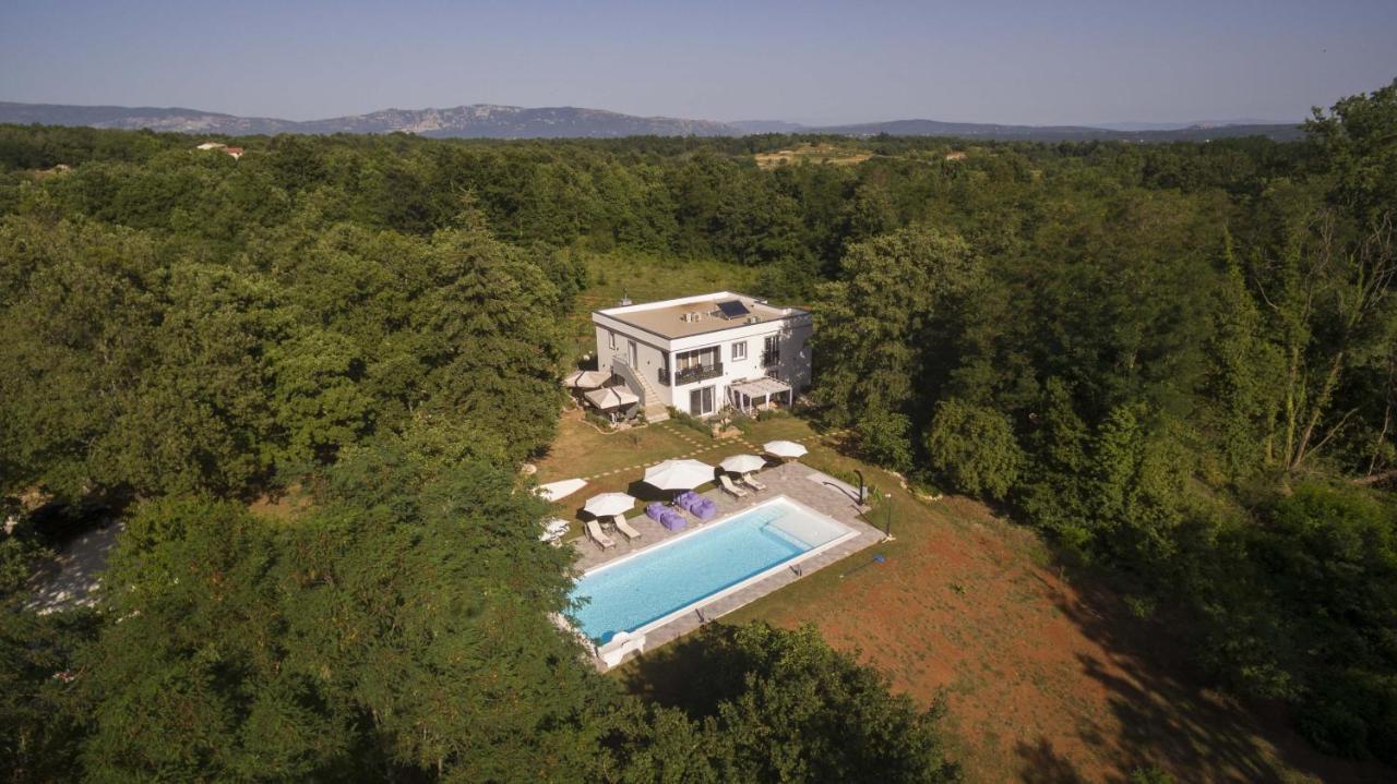 Pićan Luxury Villa Cetiri Hrasta מראה חיצוני תמונה